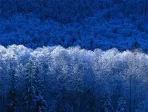 picture/Winter.jpg