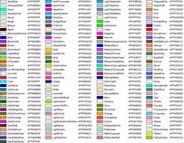 Numero de los colores.jpeg
