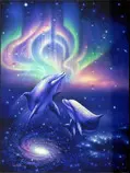dolphinsinspace.jpg
