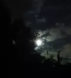 images/OpenWeatherMap/scatterednight.jpg