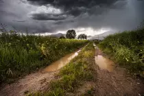 images/OpenWeatherMap/thunderstormday.jpg