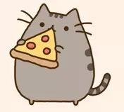 pixPage/Pusheenpizza.jpg