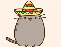 pixPage/mexicanpusheen.png