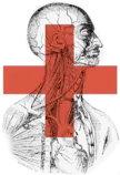 218/img-look-right-sm.png