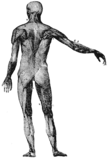 218/img-pointer-guy.png