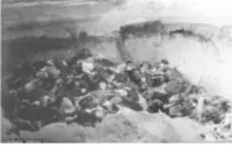 holocaust/11.jpg