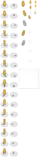 Geo 1.1_files/cb_scout5.png