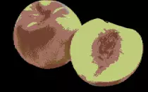 Webnect.png