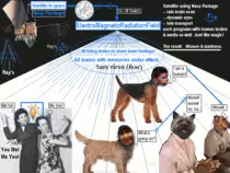 animalhuman.gif