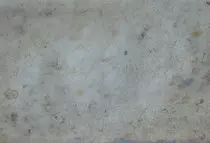 parchment.jpg