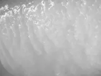 images/hielo.jpg