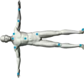 Imágenes/cuerpo-humano.png