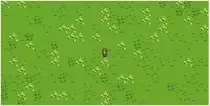 content/images/francis_quest.png