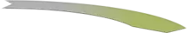 showcase/output/images/Path_5.png