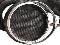 electrostat/radford17.jpg