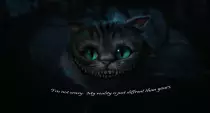 crazycat.jpg