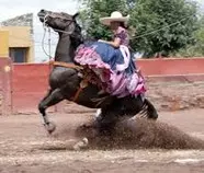 imagen/escaramuza.jpg
