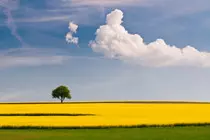 modulo2/obligatoria/images/landscape.jpg