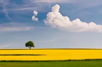 modulo2/p2p03/images/landscape.jpg