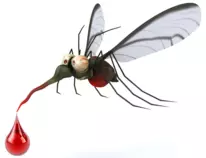 html/images/mosquito1.png