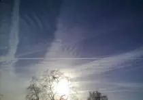 atr/birds3.jpg