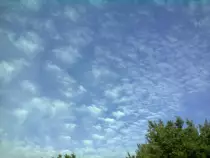 sky2/30-016.jpg