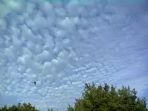 sky2/30-021.jpg