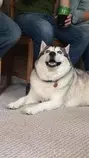 12721658_10153006395292824_1081813772_n.jpg