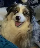 12825416_10153006395297824_1693044163_n.jpg