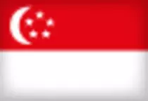 webcircuitos/imagenesc/icosingapur.png