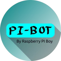 pibotboyraspboy.png