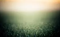 Images/g.jpg