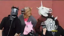pictures/A lovely group of horses.jpg