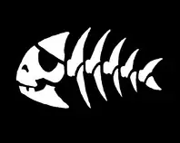 pictures/piratefish3.jpeg