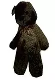 assets/img/jpeg/teddy.jpeg