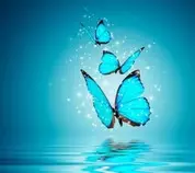 butterfly-wallpapers-share-5-2-s-307x512.jpg