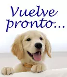 cachorro-vuelve-pronto.jpg