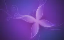 purple_butterfly_wallpaper_by_blontj.png