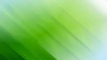 theme/images/bg_green.jpg