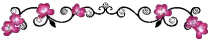 9.gif