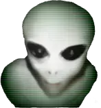 ayy lmao.png