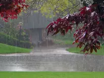 rainy-street.jpg