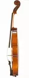 Módulo 2/Violin3.jpg