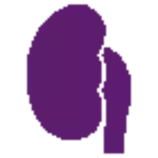 pictures/rinon.png