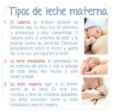 pictures/tipos-de-leche-materna.png