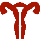 pictures/utero.png