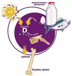 pictures/vitaminad.jpg