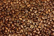 images/thosbeans.jpg