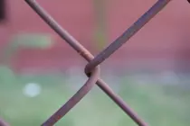 X.png