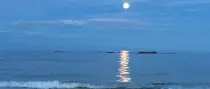 images/moonlight.jpg
